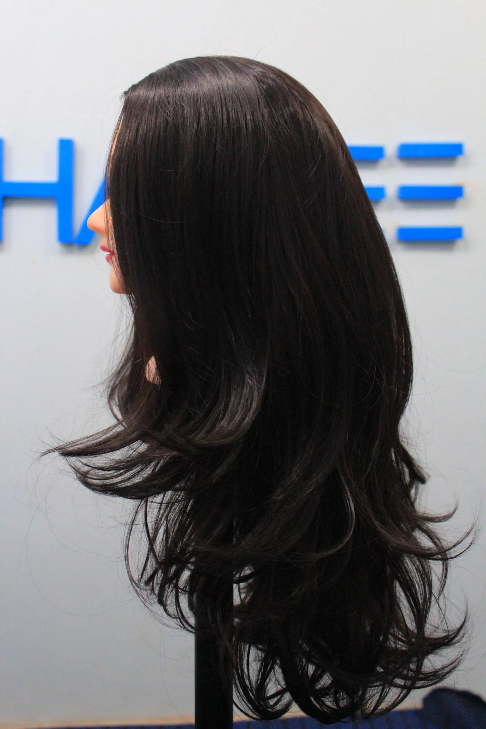 Full Head wig/ Natural black - Premium Full Head WIG from Hairee - Just Rs.6450! Shop now at Hairee